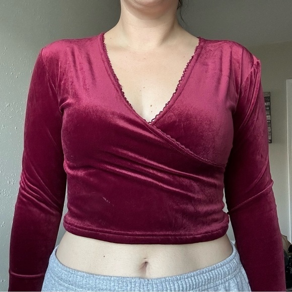 Planet Love Red Velvet V-Neck Long Sleeve Crop Top Medium Holiday Vintage - Picture 2 of 7